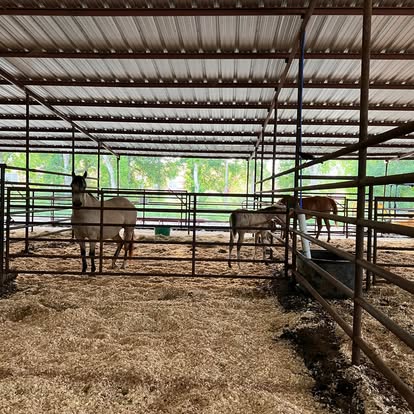 Longhorn Arena and Event Center