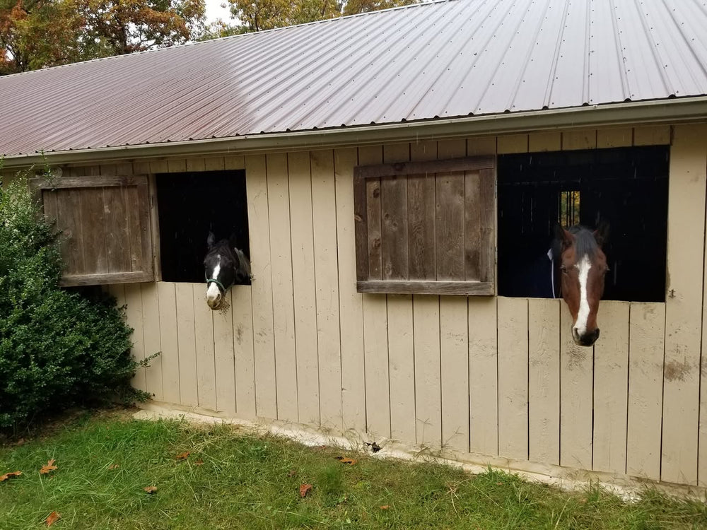Spruce Creek Campgrounds at Big South Fork