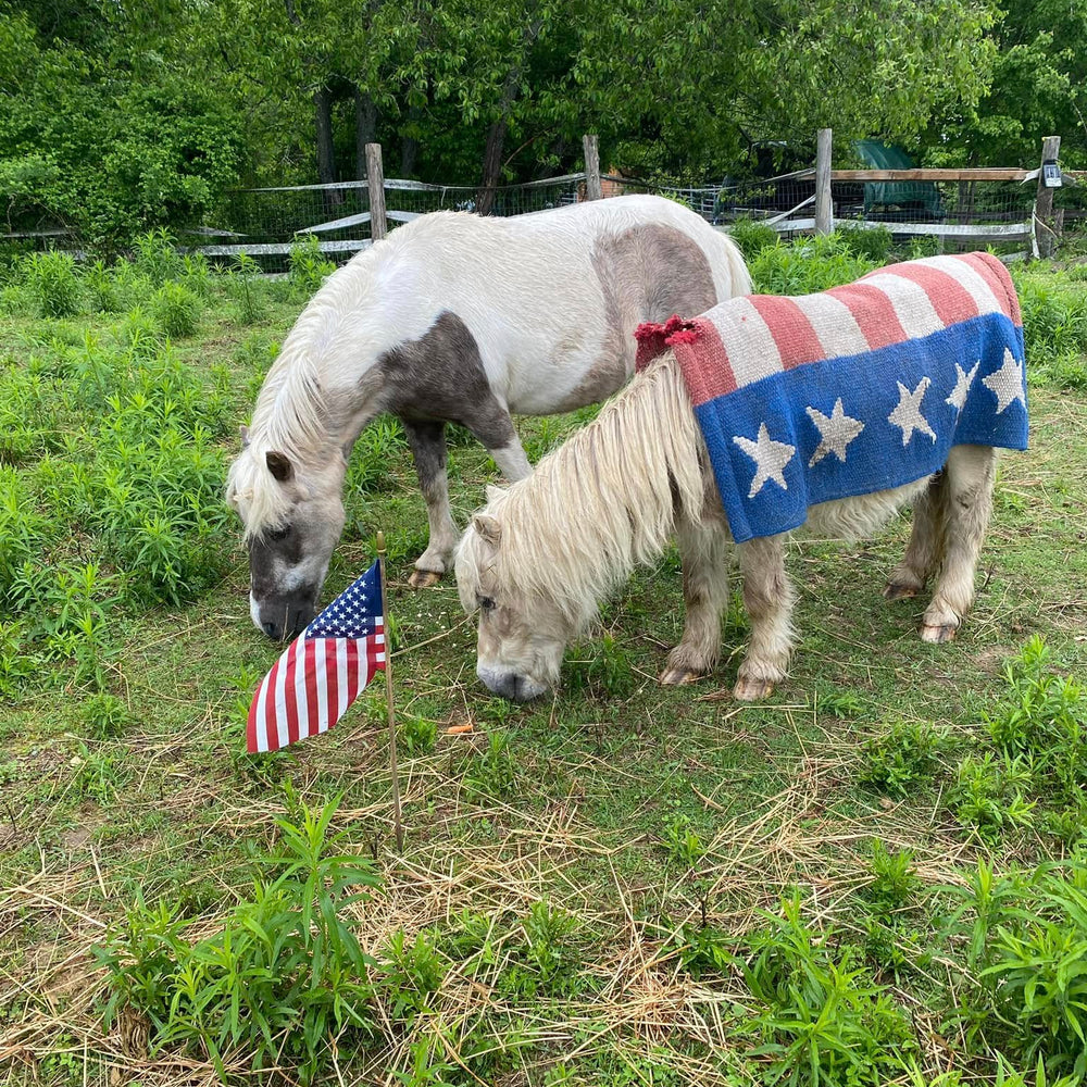 
                      
                        Horse Island Day Camp
                      
                    