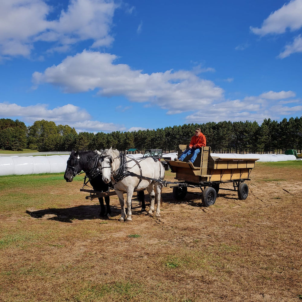 
                      
                        Healey's Outback Ranch
                      
                    