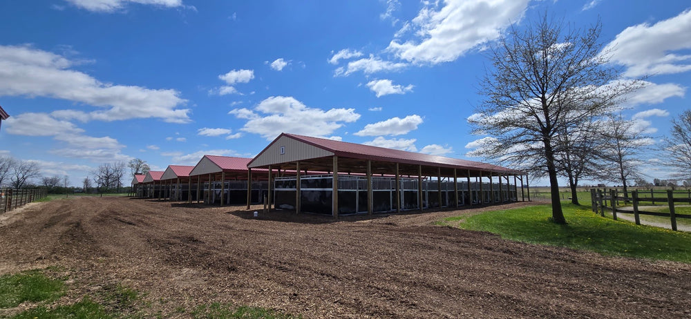 
                      
                        I-55 Stables & Arena (Formerly The Stables on Horse Farm Road)
                      
                    