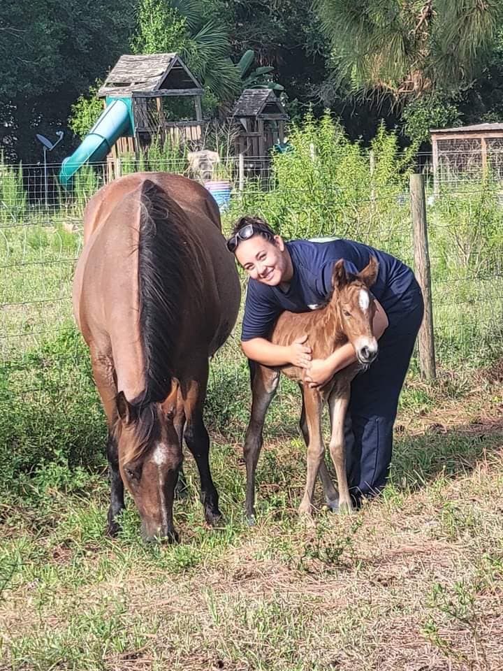Wagon Wheel Horse Farm