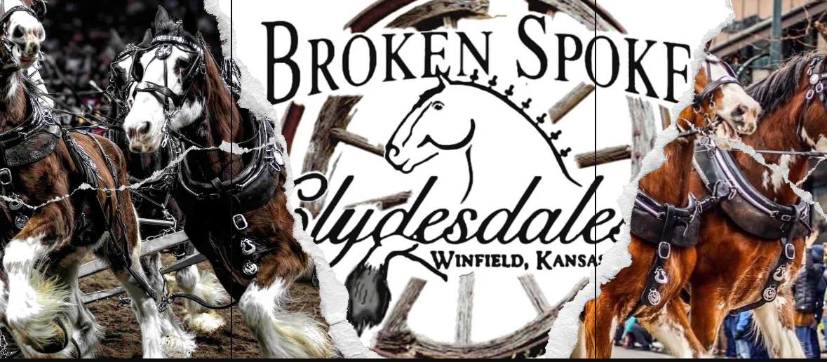 Broken Spoke Clydesdales