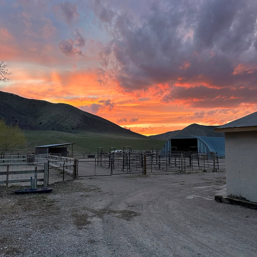 Hidden Dove Ranch