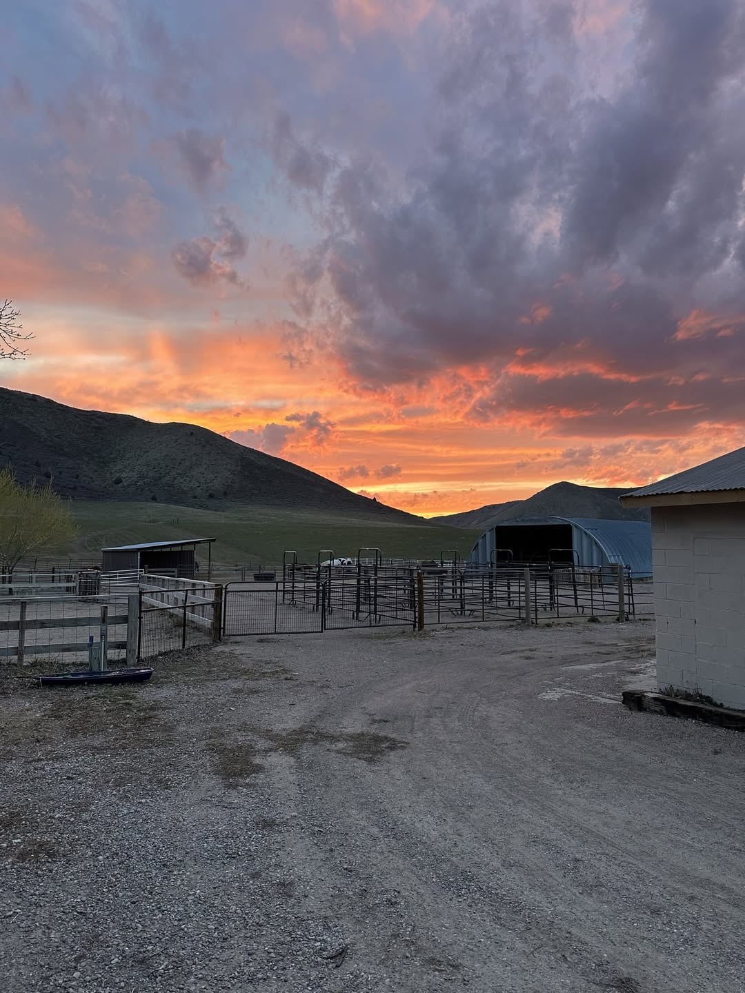 Hidden Dove Ranch