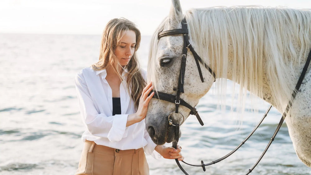 Palomino Ranch & Tours