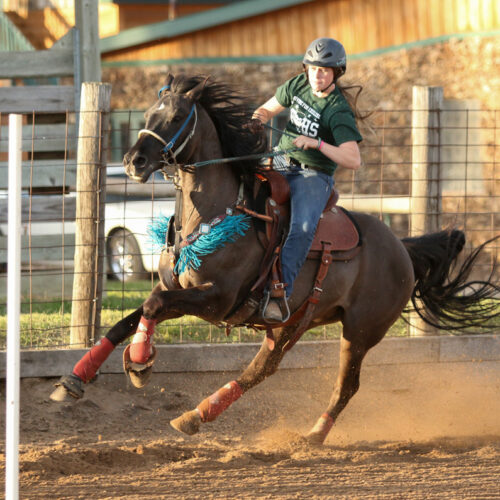 
                      
                        Woodside Ranch Resort
                      
                    