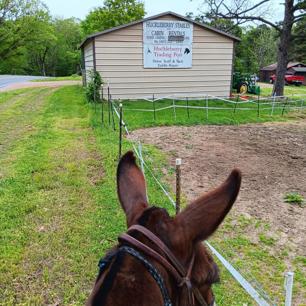 Huckleberry Stables and Cabin Rentals