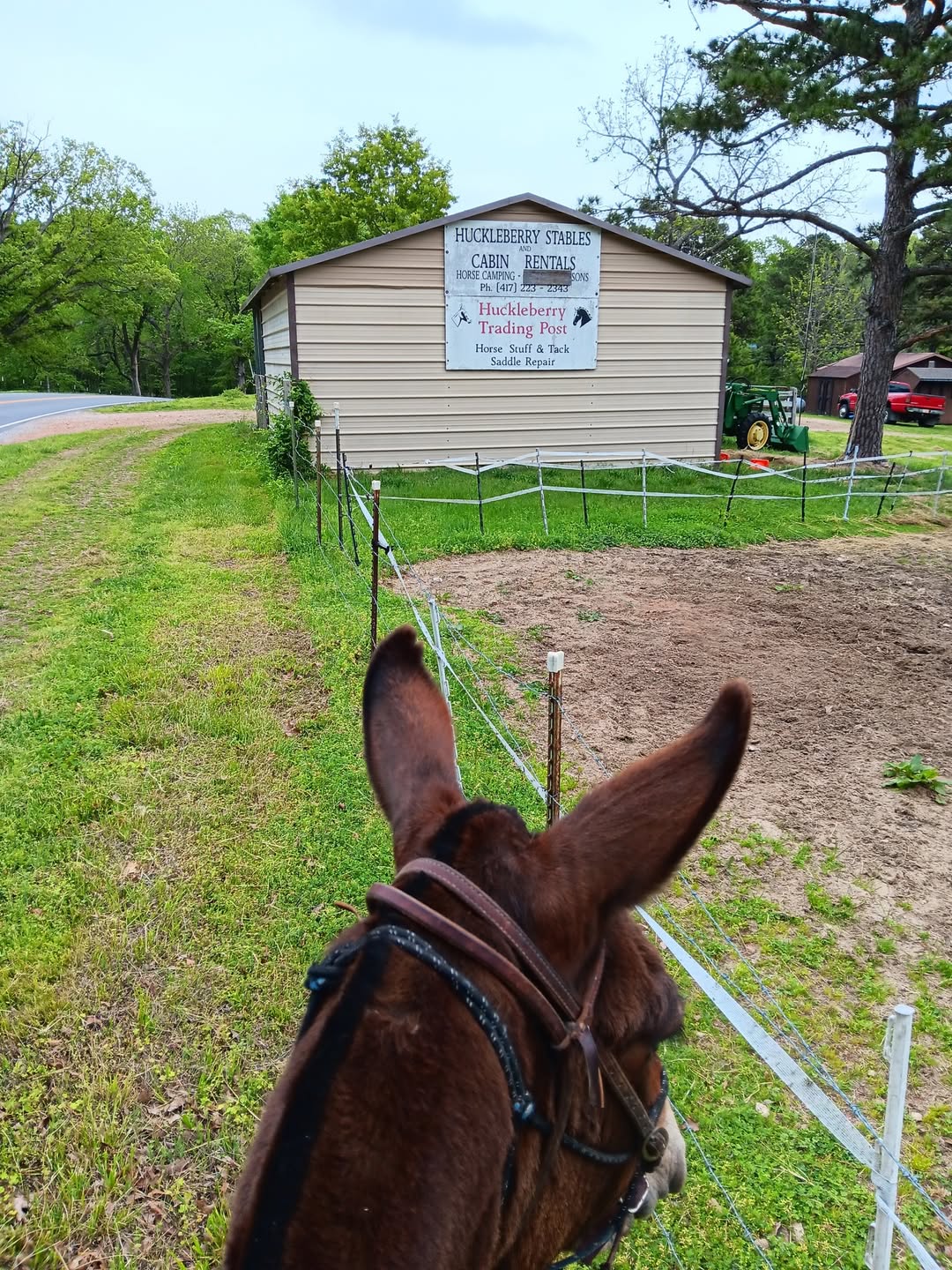 Huckleberry Stables and Cabin Rentals