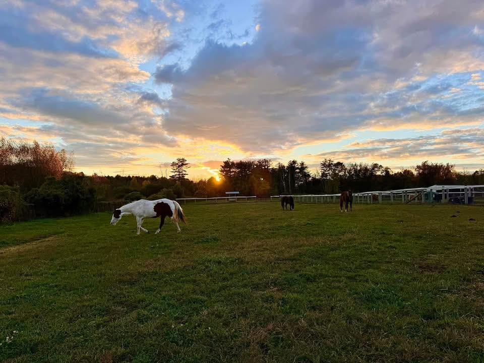 Dolce Vita Stables, LLC.