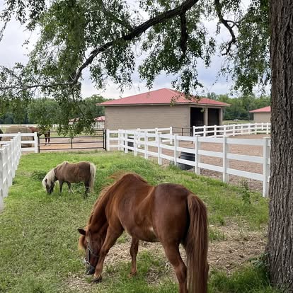 Red Roof Stable and Farm