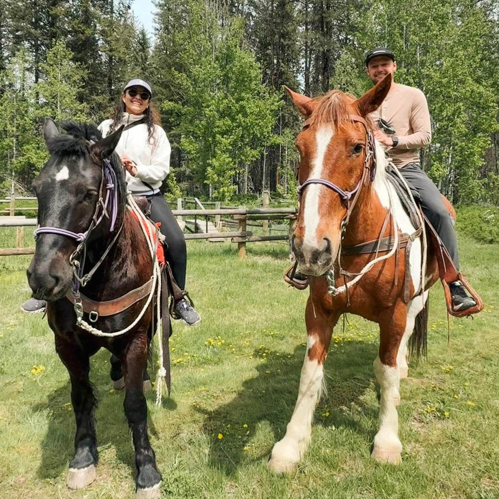Sun Mountain Stables