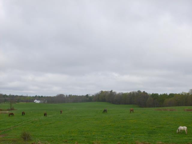 Mystic Monarch Farm