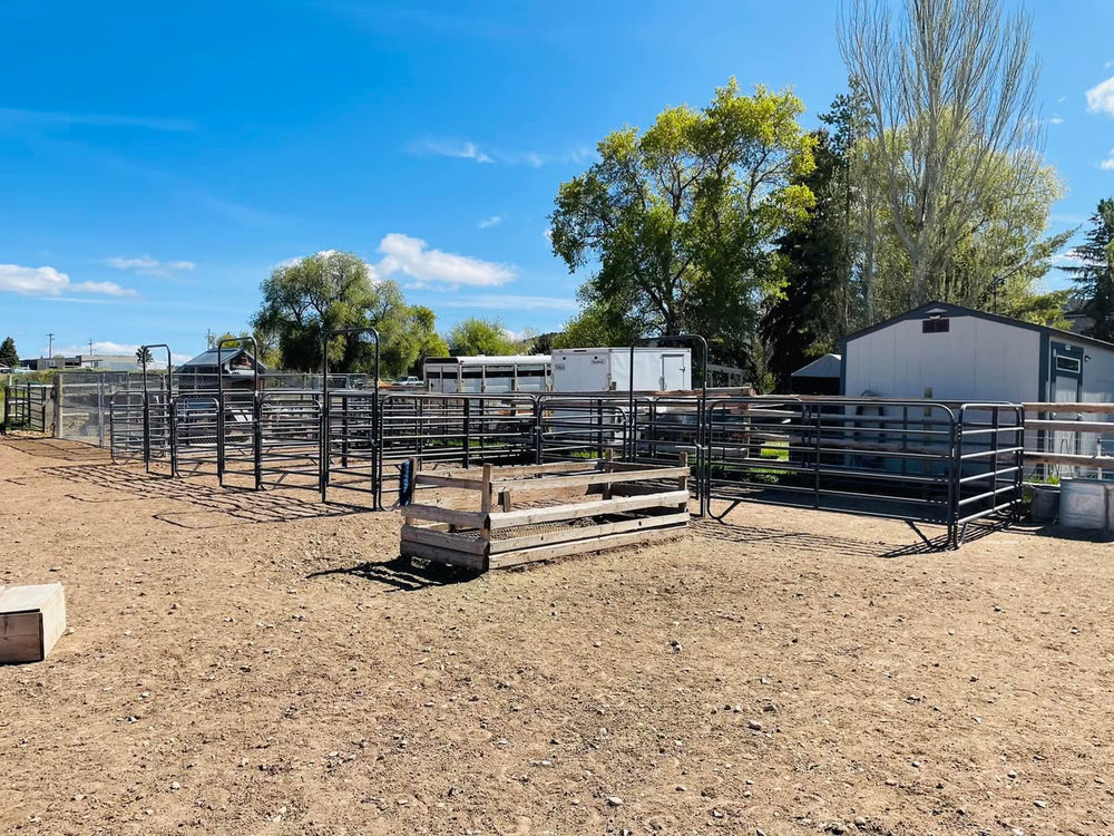 BronCo Properties