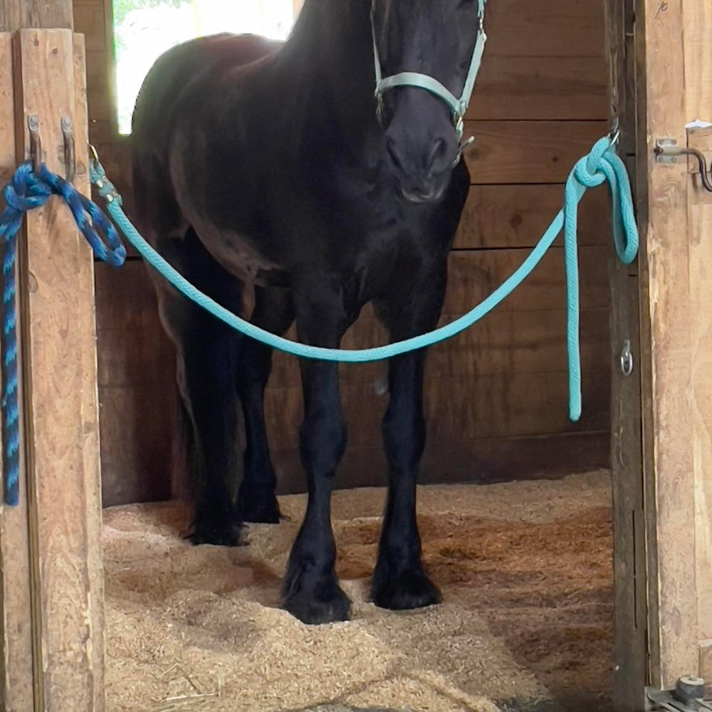 
                      
                        Inn at Rosehill & Rosehill Stables
                      
                    