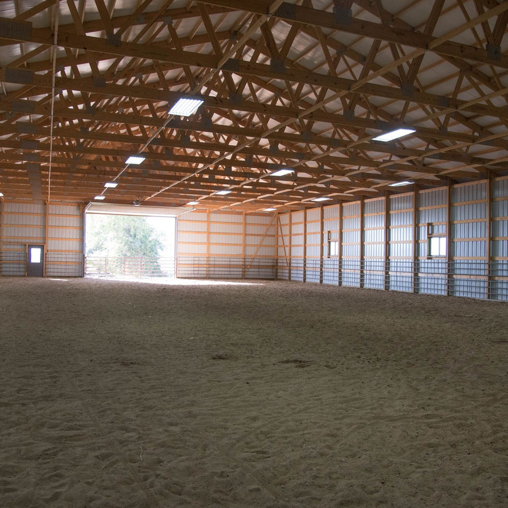 
                      
                        Triple E Equine
                      
                    