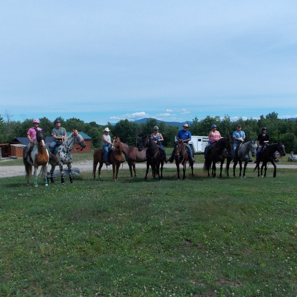 
                      
                        Buck N Horse Campground
                      
                    