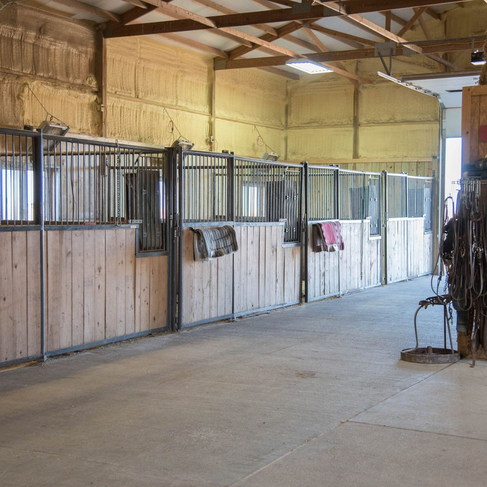
                      
                        Triple E Equine
                      
                    