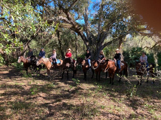 Wagon Wheel Horse Farm