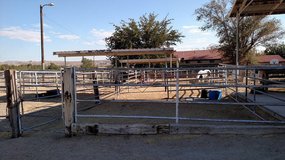 The Horse Hotel - Barstow