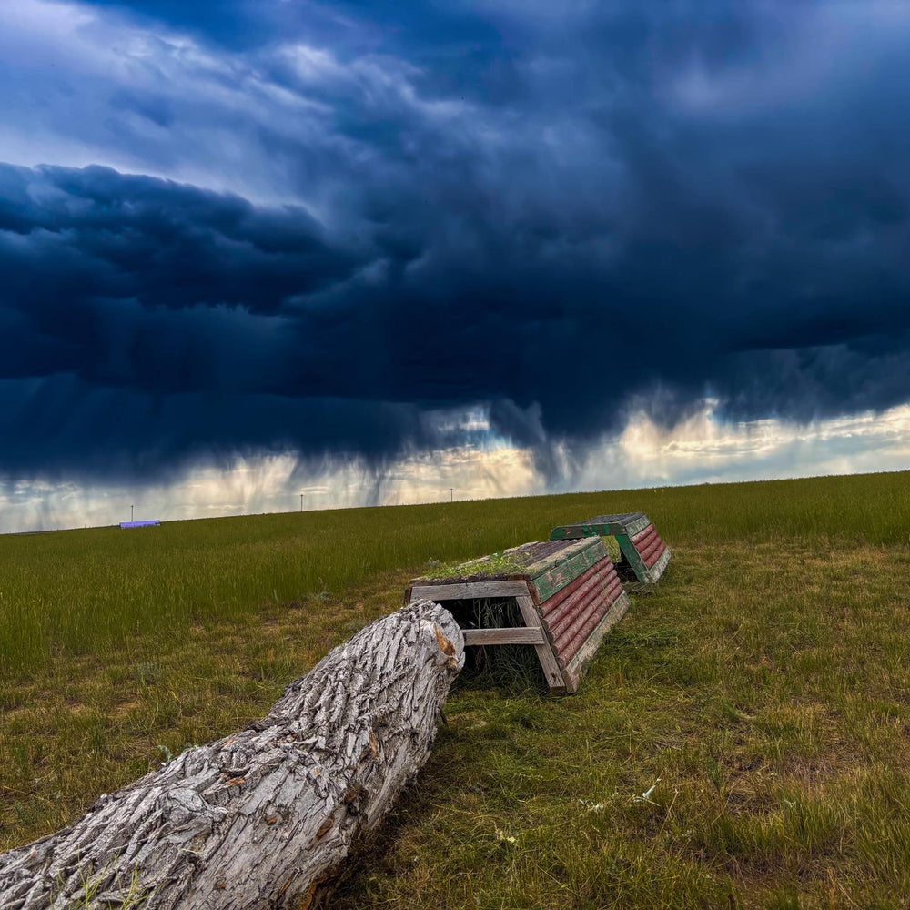 Warfield Equestrian Park