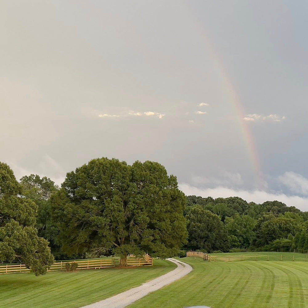 
                      
                        Inn at Rosehill & Rosehill Stables
                      
                    