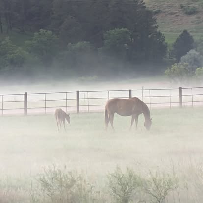 JC Stage Stop Resort