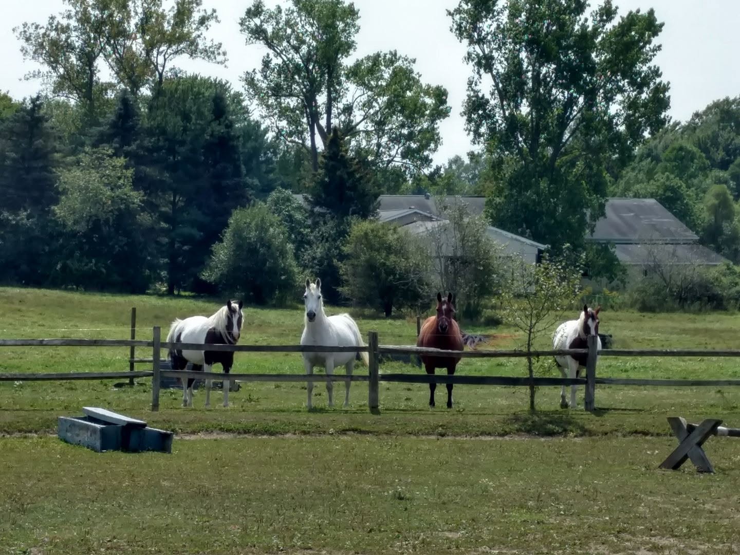 EquineBooking.com