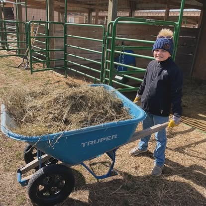 JC Stage Stop Resort