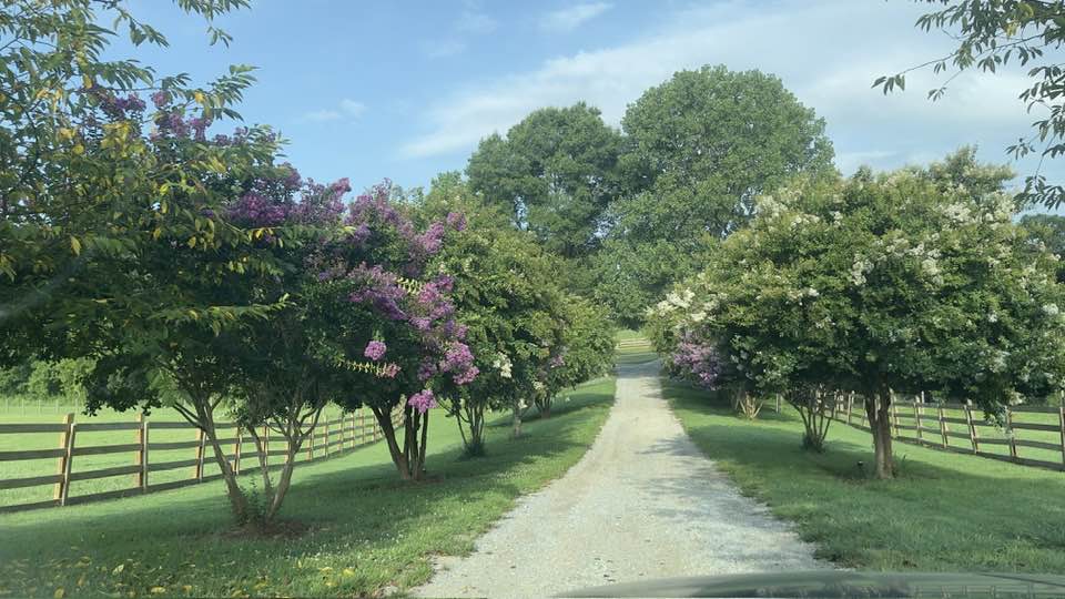 
                      
                        Inn at Rosehill & Rosehill Stables
                      
                    