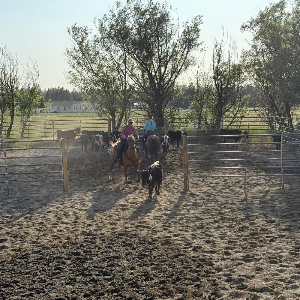 
                      
                        The Spokane Equestrian Center
                      
                    