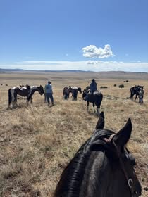 Gila National Forest - NBar Ranch