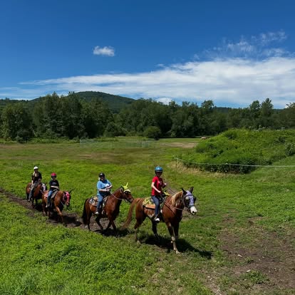 Franconia Notch Stables