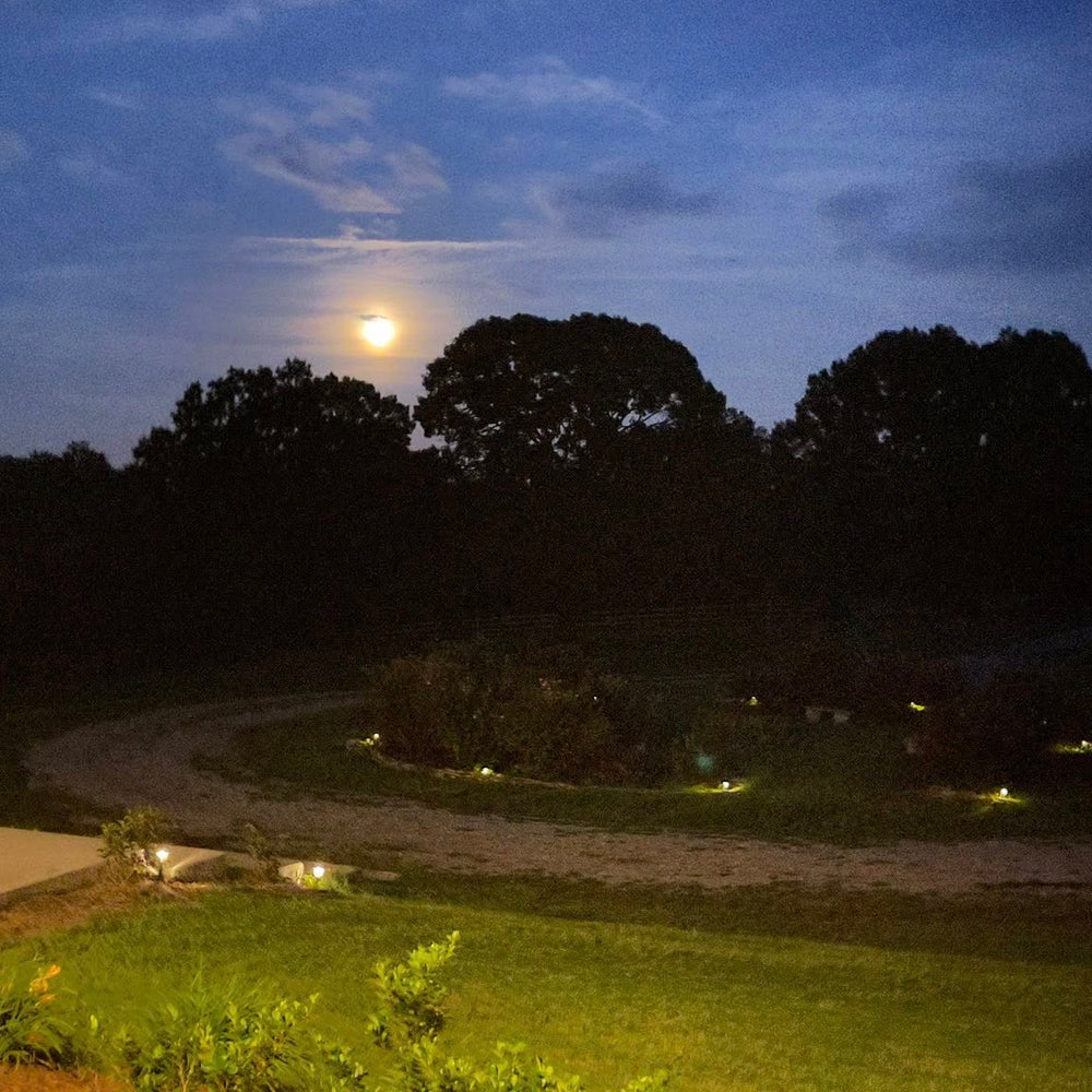 
                      
                        Inn at Rosehill & Rosehill Stables
                      
                    