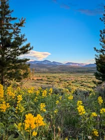 
                      
                        Gila National Forest - NBar Ranch
                      
                    