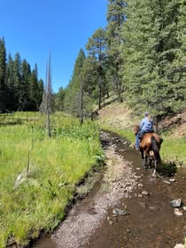 
                      
                        Gila National Forest - NBar Ranch
                      
                    