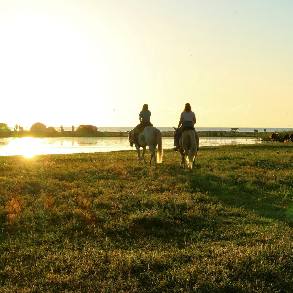 
                      
                        Cedar Island Ranch
                      
                    