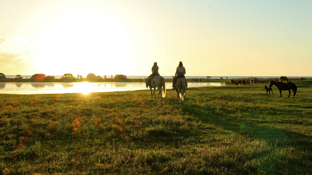 Cedar Island Ranch