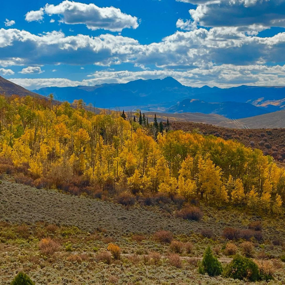 
                      
                        The Rusty Spur Ranch
                      
                    