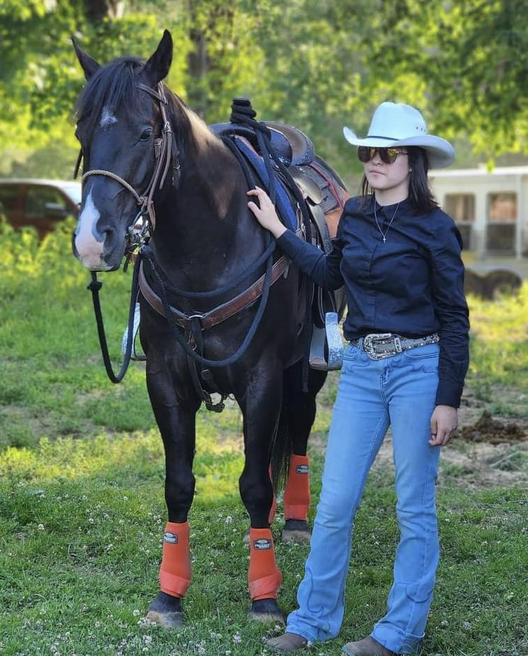 
                      
                        Dolce Vita Stables, LLC.
                      
                    