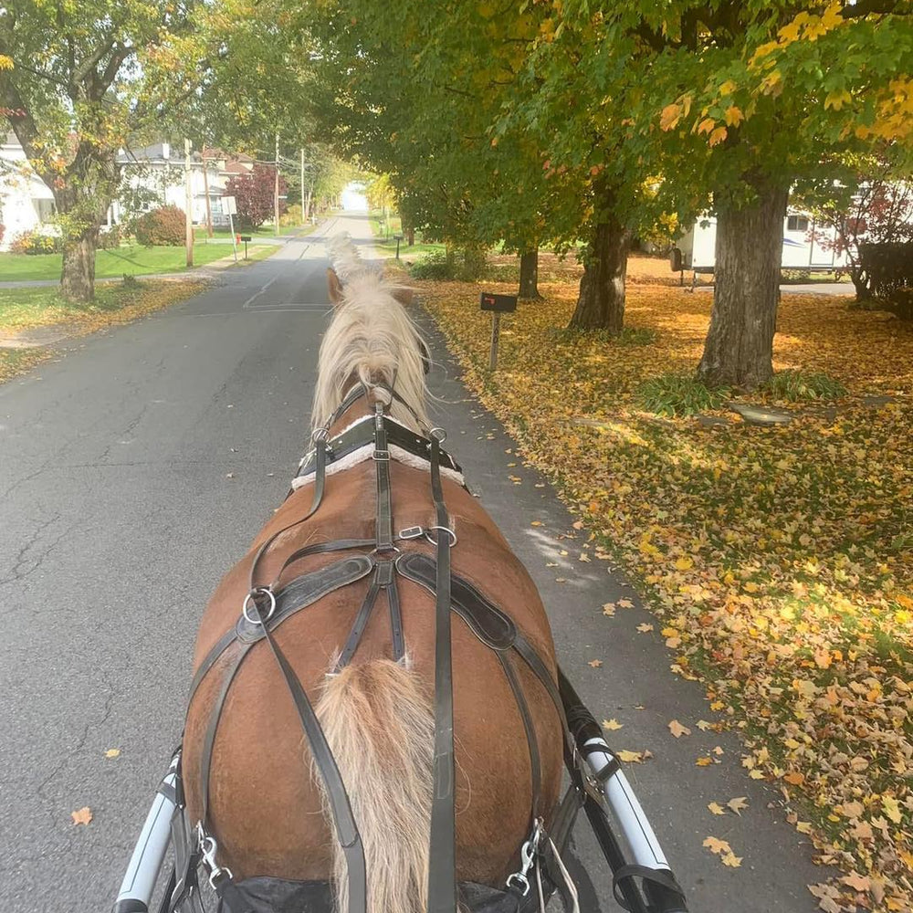 Happy Trails Riding