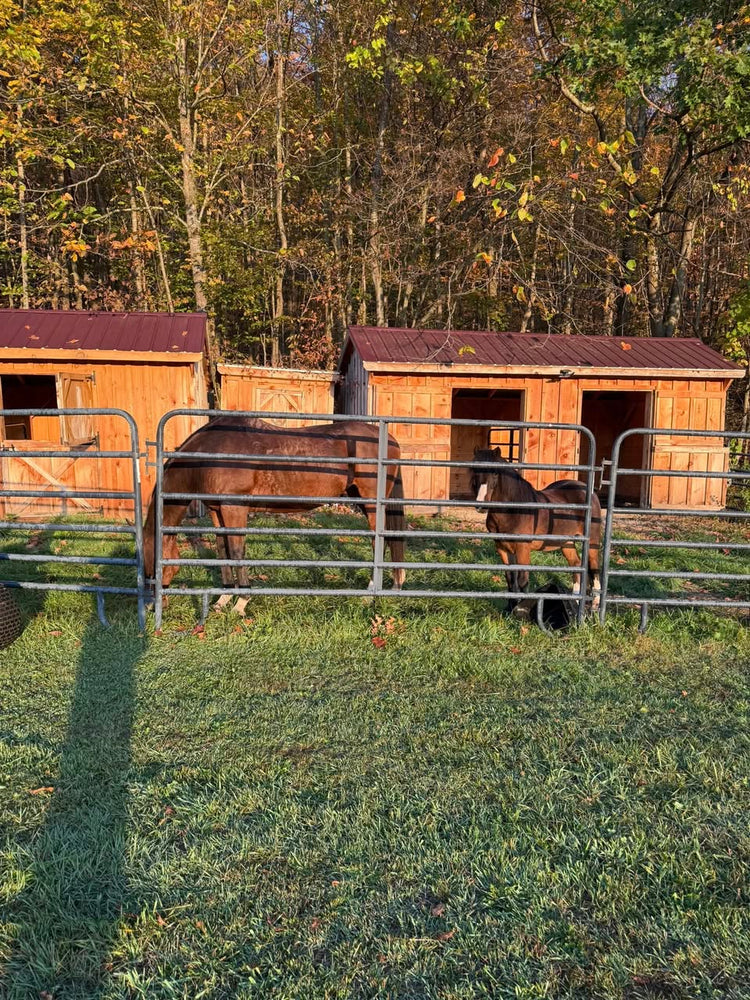 Barb's Horse Camp