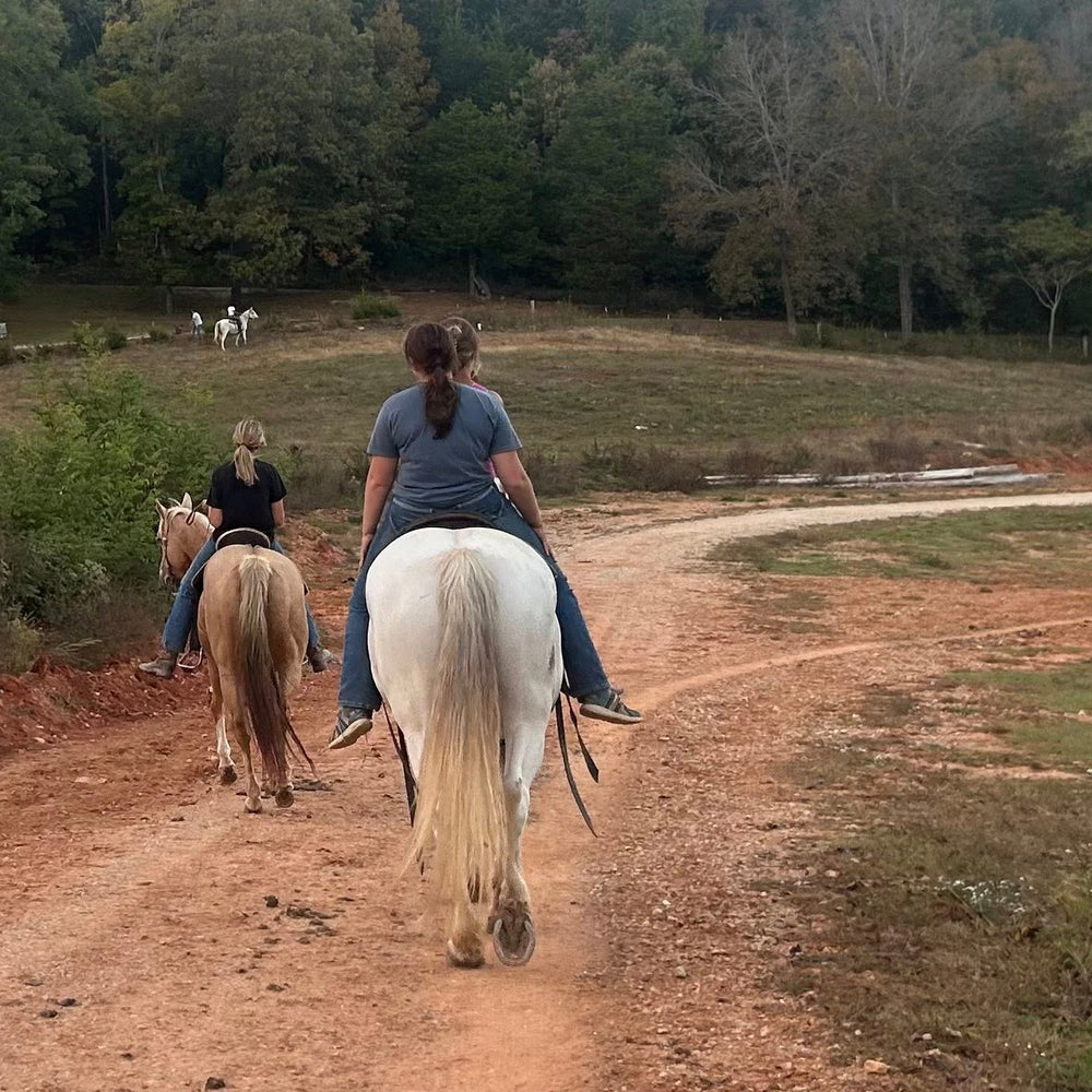 
                      
                        Jesse James Riding Stables
                      
                    