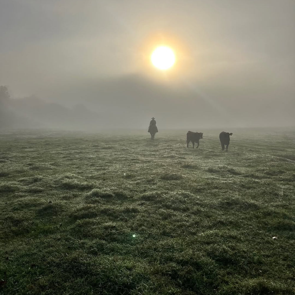 Norton Farm Stays