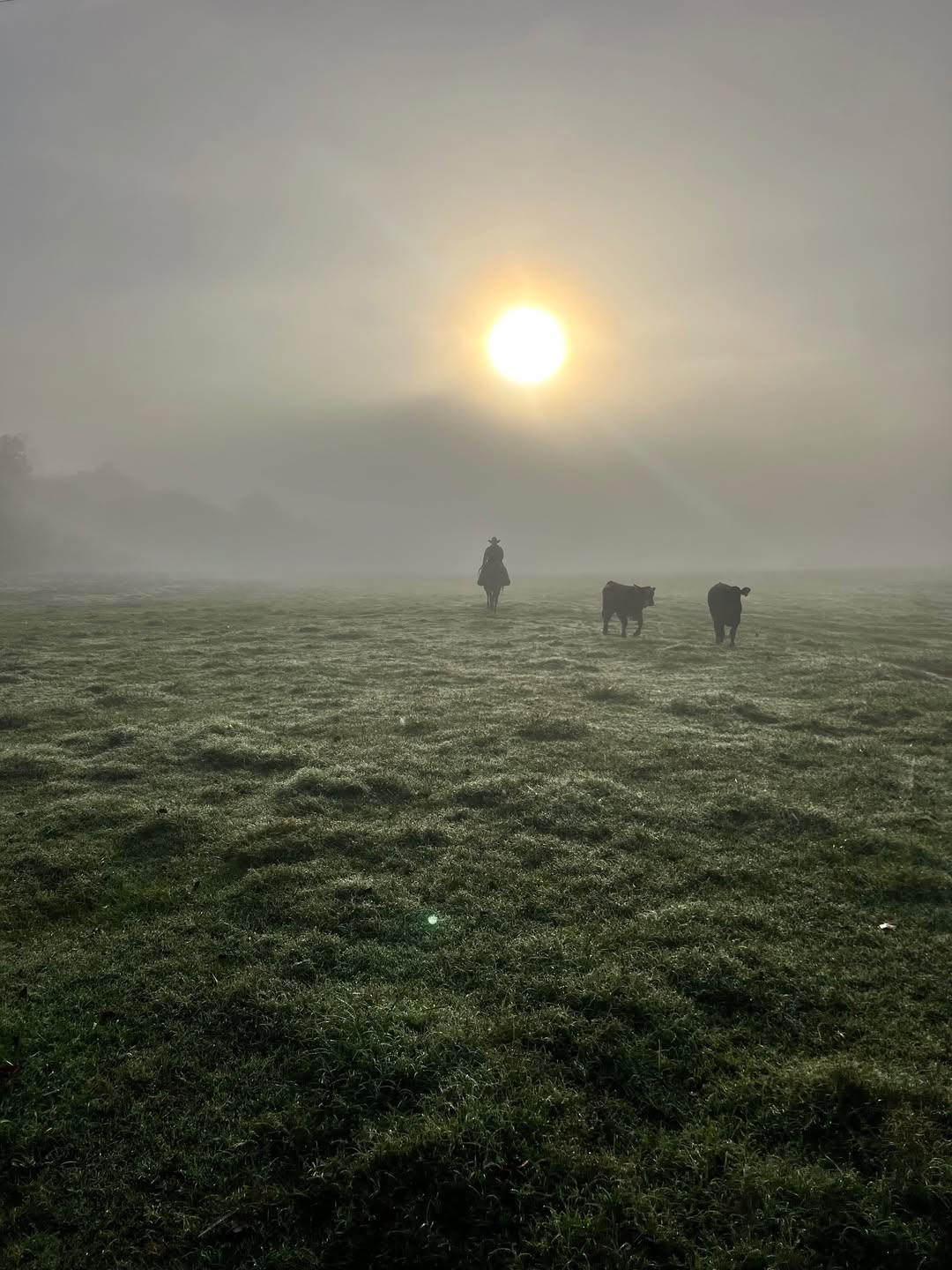 Norton Farm Stays