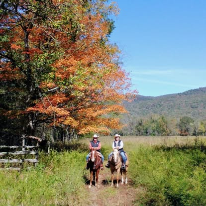 Boston Mountain Horse Camp