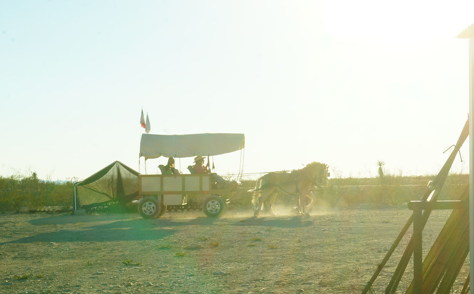 
                      
                        Into the Frontier - Big Bend
                      
                    