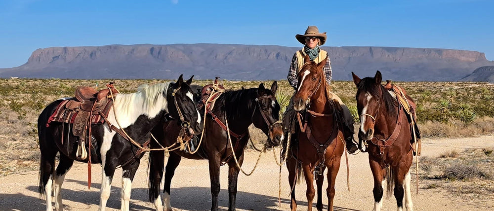 Into the Frontier - Big Bend