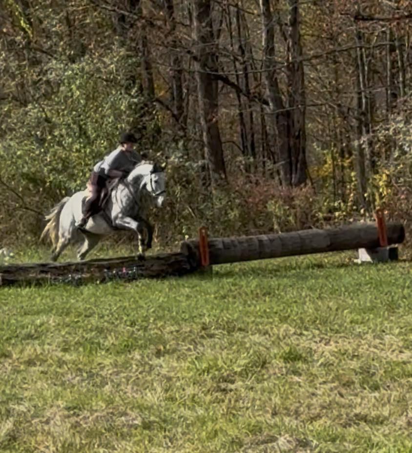 
                      
                        Lake Equestrian Center
                      
                    