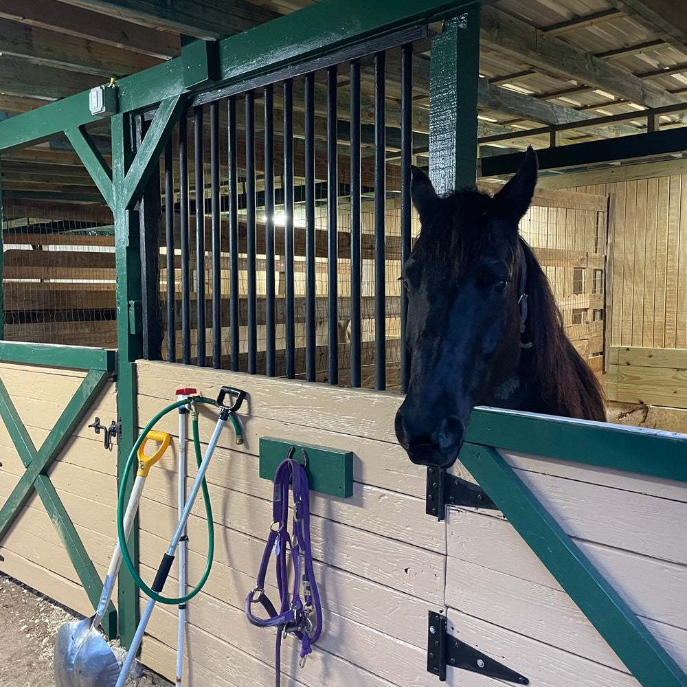 Fiddlers Green RV Ranch